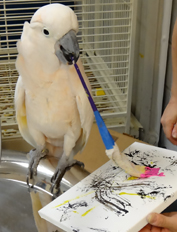 Philippe Painting